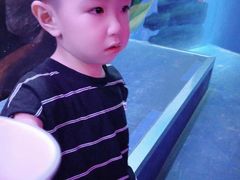 -无锡海洋馆