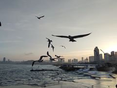 -星海广场