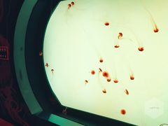 -沈阳海洋探索中心