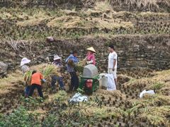 -高荡千年布依古寨旅游景区
