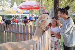 -萌宠亲子动物乐园(槐房万达店)