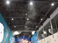 -Mr·Kuma酷么先生雪之乐园