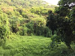 -南丫岛
