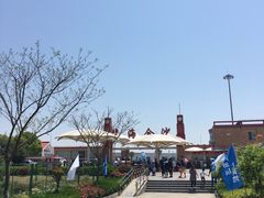 -碧海金沙