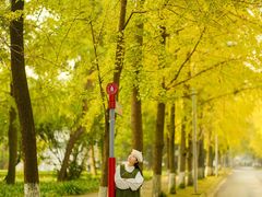 -四川大学(望江校区)