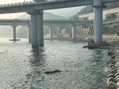 -银沙滩浴场