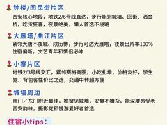 -大雁塔北广场音乐喷泉