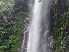 -莫里热带雨林景区