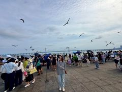 -星海广场