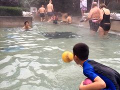 -黄山温泉国际旅游度假区