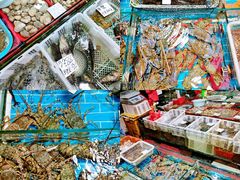 -船奇蒸汽海鲜·闽菜(八市海鲜总店)