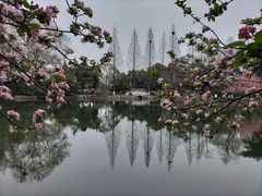 -莫愁湖公园