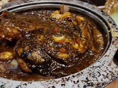 黑椒酱烤碟鱼头-香厨中餐厅(松北香格里拉店)