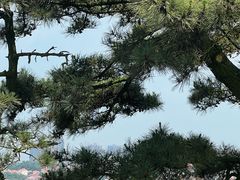 -青岛海滨风景区小鱼山