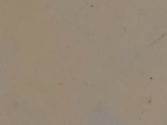 -品足轩足疗·按摩·SPA(朗晴店)