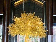-时光吧·大堂吧·丽江和府洲际度假酒店