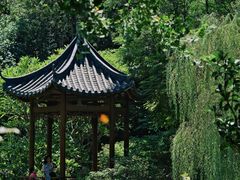 -云溪植物园