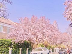 -天津五大道文化旅游区