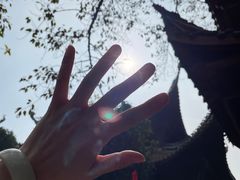 -涂山寺素食餐厅