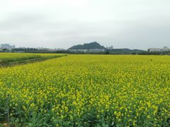 -光明小镇欢乐田园