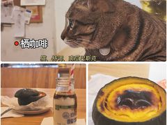 -栖咖啡(泉舜店)