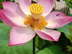 -南戴河国际娱乐中心