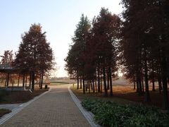 -同里国家湿地公园