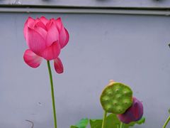 -海窝子古镇