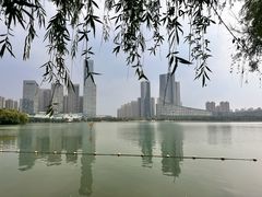 -天鹅湖体育公园