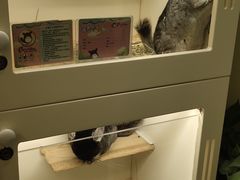 -龙猫仔乐园(惠福东路店)