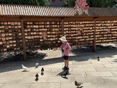 -龙口南山旅游景区