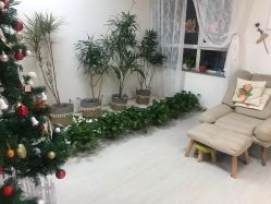 -臻美薈美容养生美甲美睫專門店