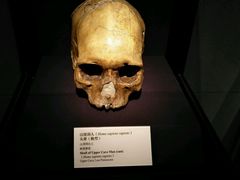 -北京周口店北京人遗址博物馆