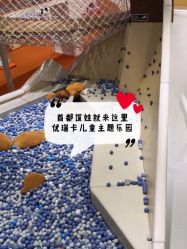 -Eureka优瑞卡儿童主题乐园(合生汇购物中心店)