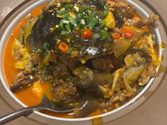 -洞庭家宴·头牌甲鱼(广渠门店)