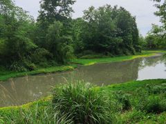 -桤木河湿地公园