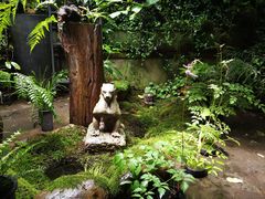 -植觉