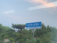 -蘇河湾·新鲁菜·泰山宴(泰山店)