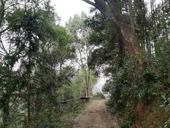 -崀山风景名胜区