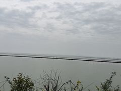 -贡湖湾湿地公园