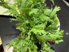 -芦月轩羊蝎子(劲松店)