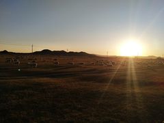 -塞罕坝国家级自然保护区