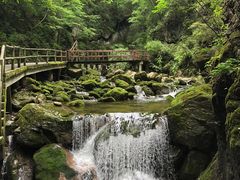 -牛背梁国家森林公园