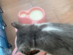 -贝利宠物医院·骨科·眼科·肿瘤转诊中心(南坪诊疗中心)