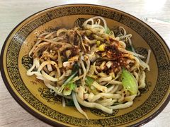 油泼拉条子-田园腊汁肉夹馍(沈阳总店)