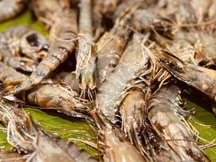 -伍棵煋炭烤自助料理·烤鳗鱼(浦东食品城店)