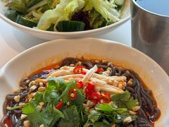 -巷子宽·酸菜鱼(迪士尼小镇店)