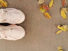 -一兆韦德健身(慧芝湖店)