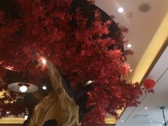 -老周家酱卤猪蹄私房菜(克拉玛依西街店)