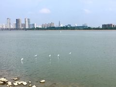 -钱塘江大桥